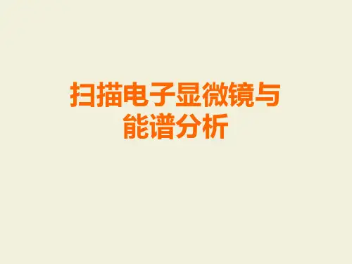 扫描电子显微镜与能谱分析