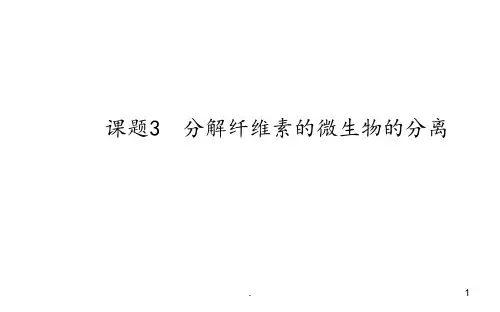 分解纤维素微生物的分离(40)PPT课件