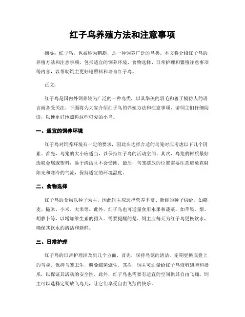 红子鸟养殖方法和注意事项