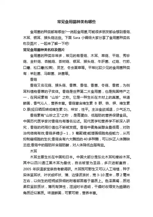 常见食用菌种类有哪些