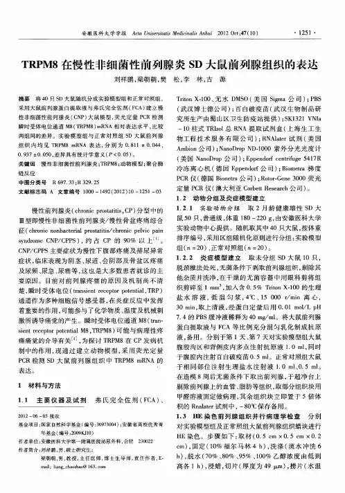 TRPM8在慢性非细菌性前列腺炎SD大鼠前列腺组织的表达