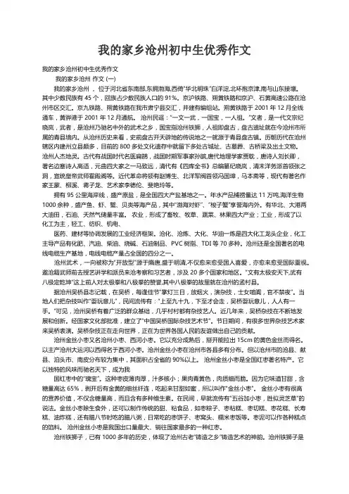 我的家乡沧州初中生优秀作文