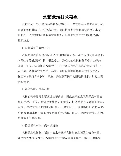 水稻栽培技术要点