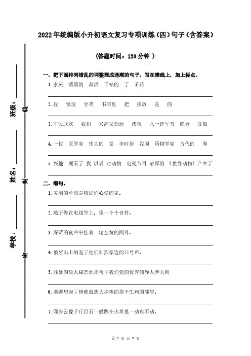 小升初语文复习专项训练(四)句子(含答案)