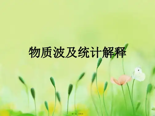 物质波及统计解释