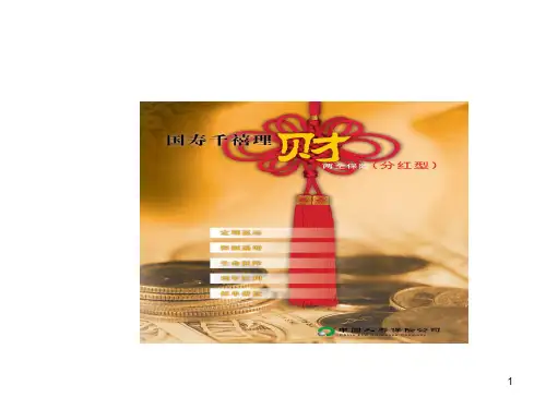 中国人寿保险公司商品介绍PPT(19张)