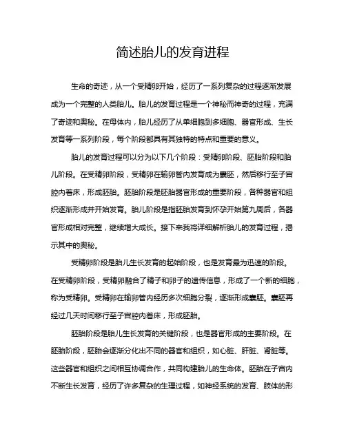 简述胎儿的发育进程
