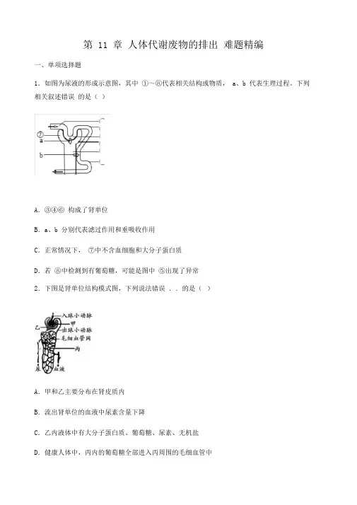 北师大版生物七年级下册第4单元第11章人体代谢废物的排出难题精编(包含答案)