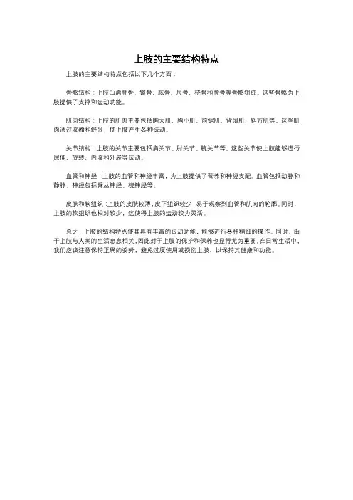 上肢的主要结构特点