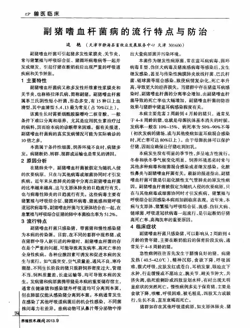 副猪嗜血杆菌病的流行特点与防治