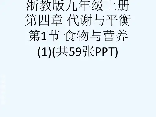 浙教版九级上册第四章 代谢与平衡第1节 食物与营养(1)(共59张PPT)[可修改版ppt]