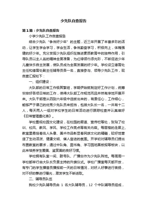 少先队自查报告