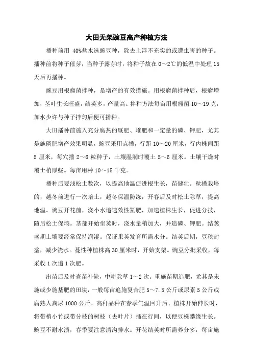 大田无架豌豆高产种植方法
