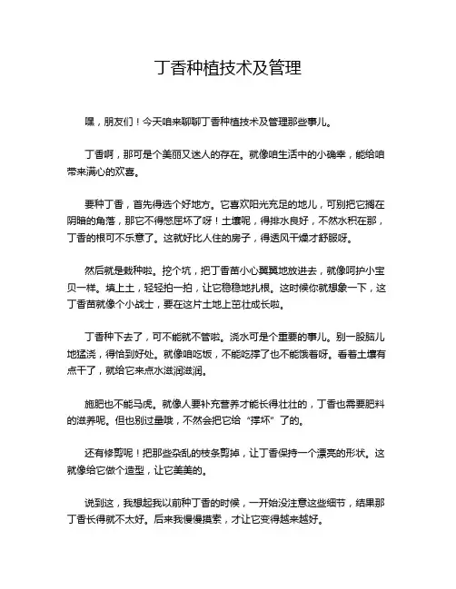 丁香种植技术及管理