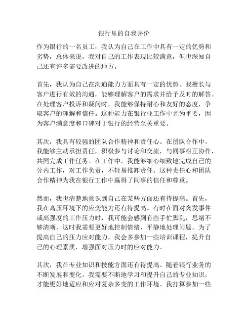 银行里的自我评价