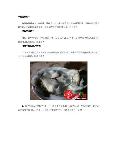 甲鱼做法