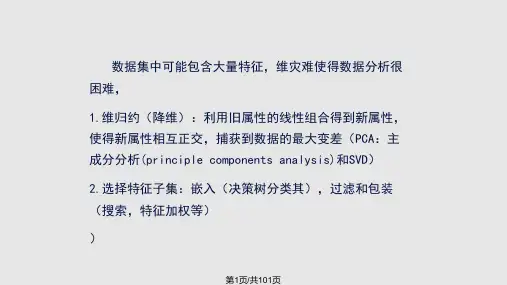 矩阵的因子分解PPT课件