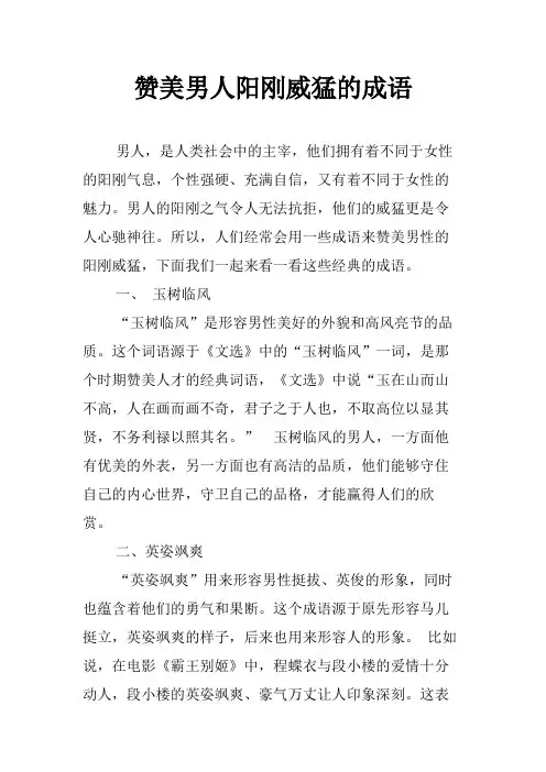 赞美男人阳刚威猛的成语