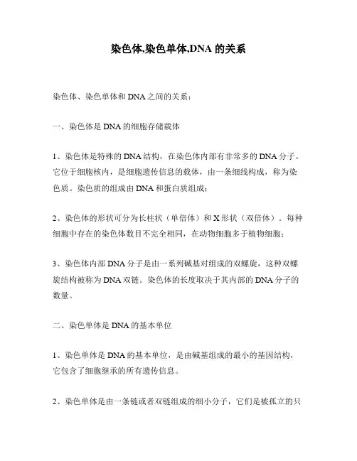 染色体,染色单体,DNA的关系