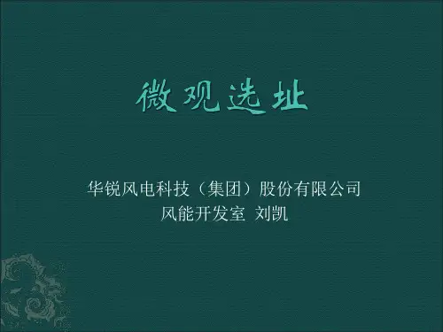 微观选址