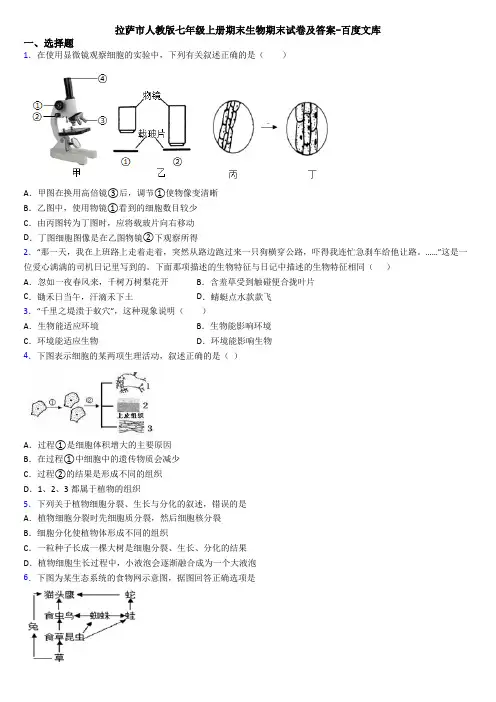 拉萨市人教版七年级上册期末生物期末试卷及答案-百度文库