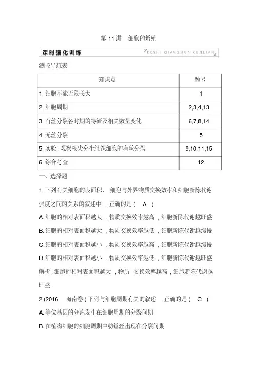 高中生物复习第11讲细胞的增殖