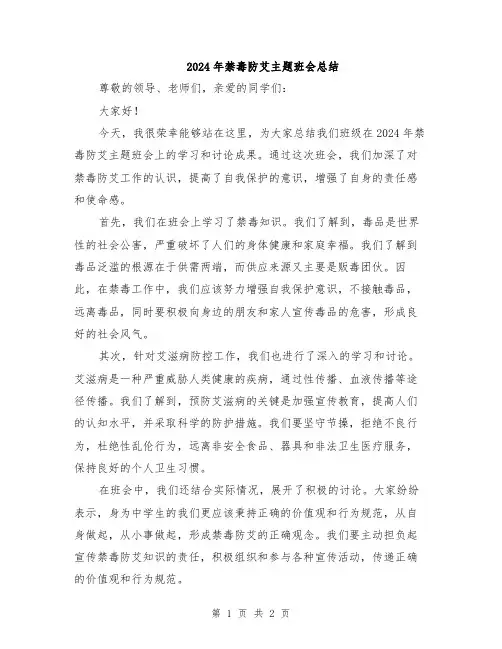 2024年禁毒防艾主题班会总结