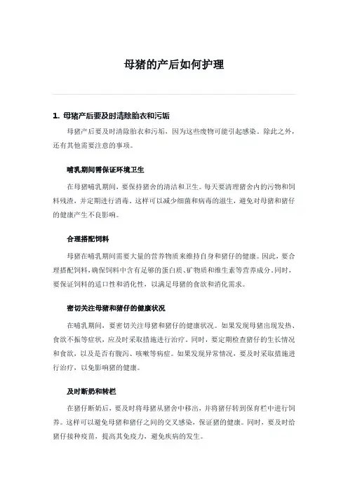 母猪产后如何护理