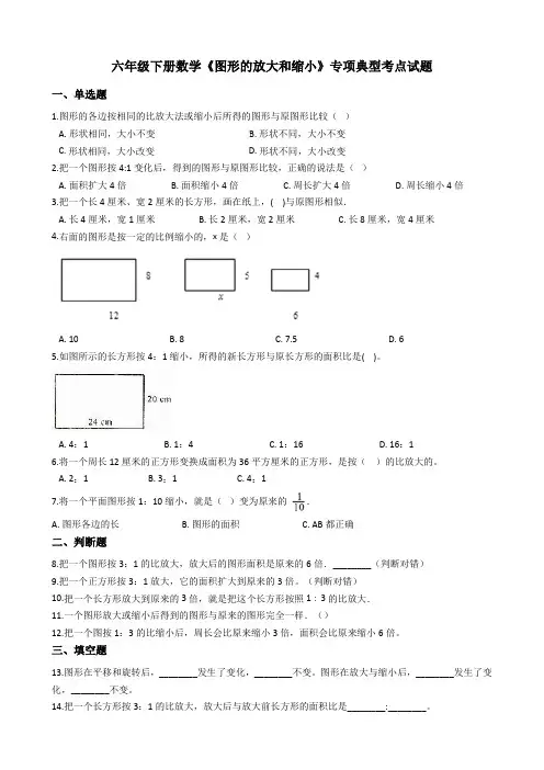 六年级下册数学《图形的放大和缩小》专项典型考点试题(含解析)