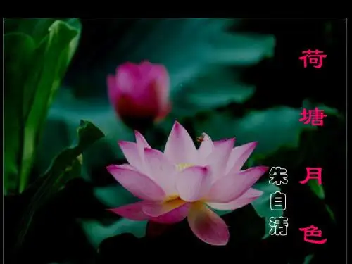 《荷塘月色》优秀课件完整版ppt