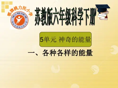 六年级下册科学各种各样的能量苏教版 (12)