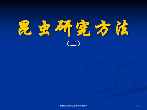 昆虫研究方法