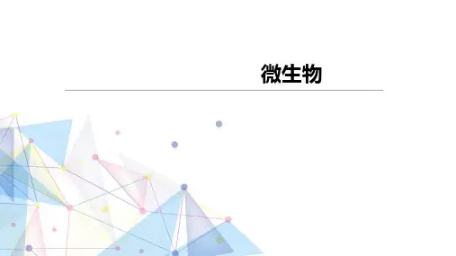 生长曲线