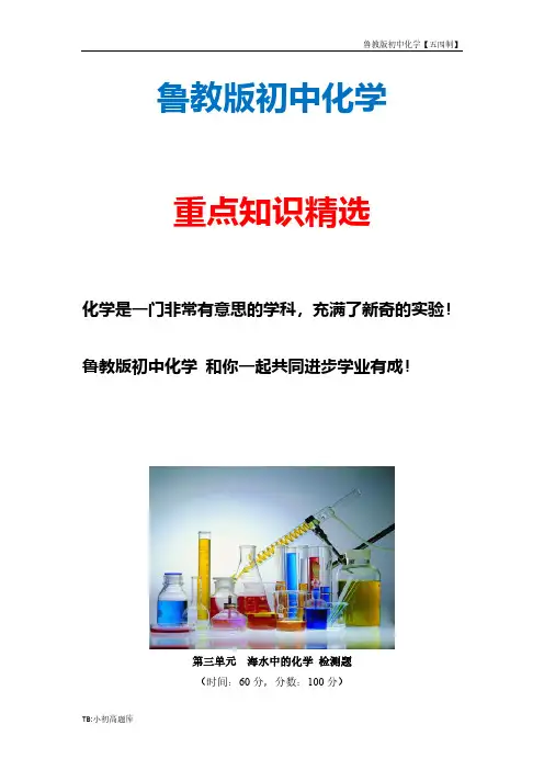 鲁教版初中化学五四制九年级全册《海水中的化学》单元测试4