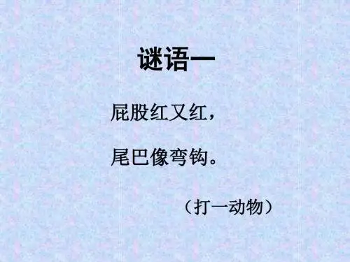 猴子和大象