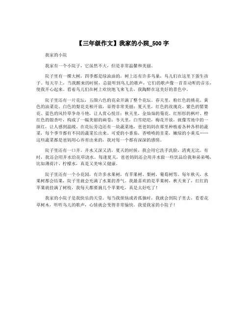 【三年级作文】我家的小院_500字