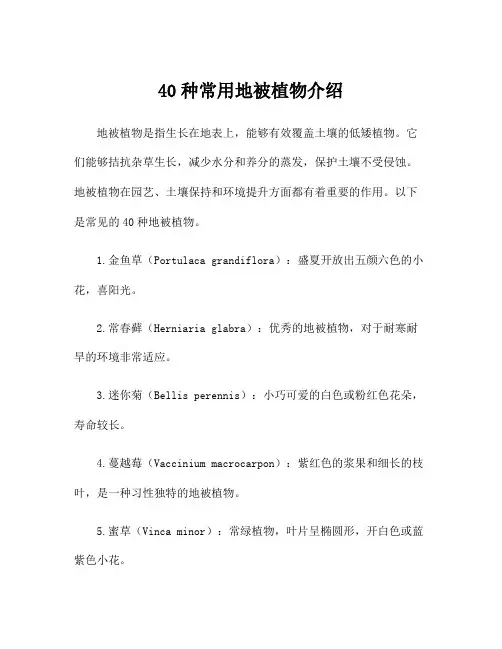 40种常用地被植物介绍