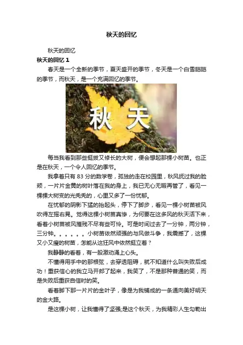 秋天的回忆