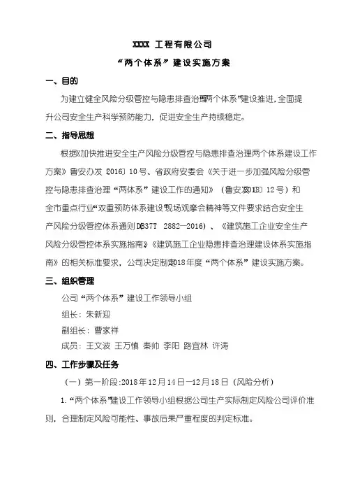 双体系建设实施方案338