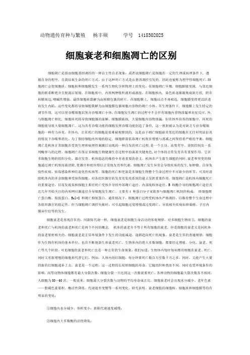 细胞衰老和细胞凋亡的区别