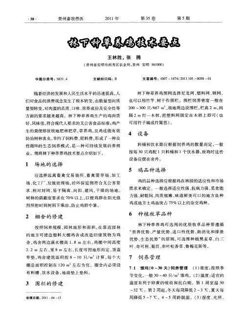 林下种草养鸡技术要点