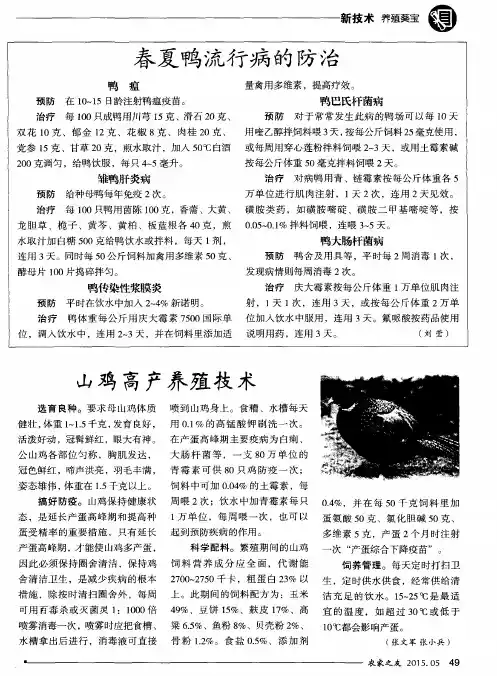 山鸡高产养殖技术