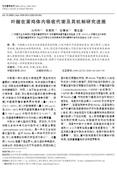 叶酸在蛋鸡体内吸收代谢及其机制研究进展