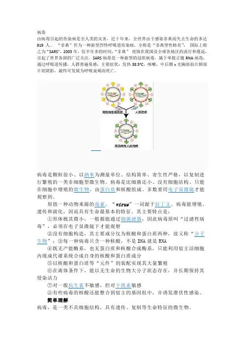 关于病毒的论文