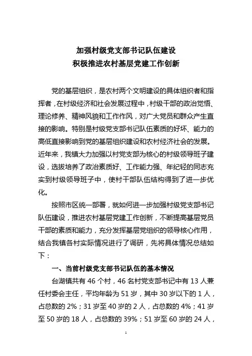 加强村级党支部书记队伍建设