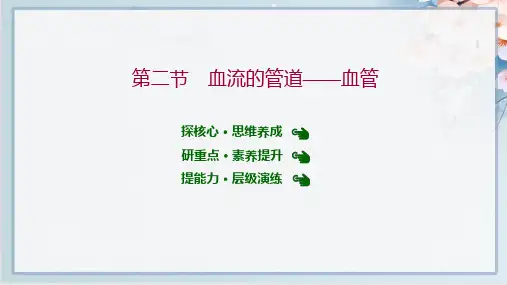2022年人教版七年级下册生物第四单元第四章第二节 血流的管道——血管