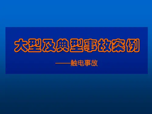 大型及典型事故案例触电事故案例ppt课件