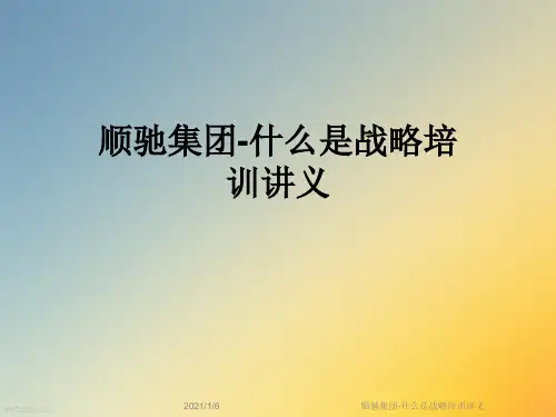 顺驰集团-什么是战略培训讲义