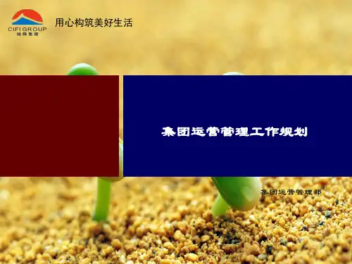 旭辉集团运营管理体系幻灯片PPT