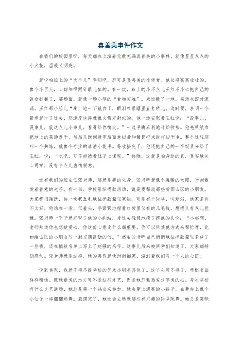 真善美事件作文